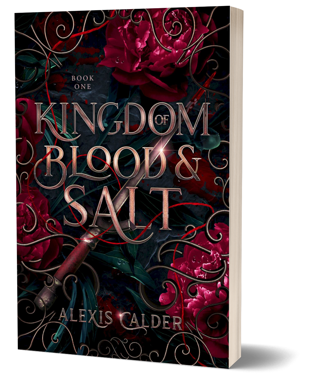 Kingdom of Blood and Salt